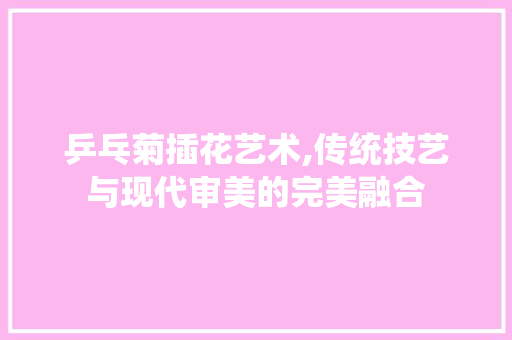 乒乓菊插花艺术,传统技艺与现代审美的完美融合