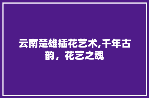 云南楚雄插花艺术,千年古韵，花艺之魂