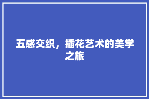 五感交织，插花艺术的美学之旅