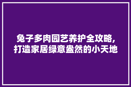 兔子多肉园艺养护全攻略,打造家居绿意盎然的小天地