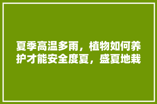 夏季高温多雨，植物如何养护才能安全度夏，盛夏地栽植物的养护措施有哪些。
