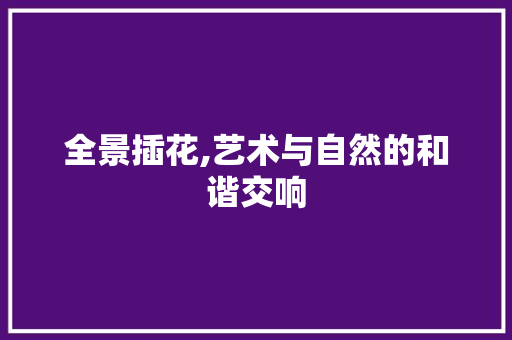 全景插花,艺术与自然的和谐交响