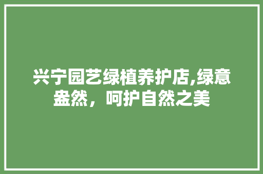 兴宁园艺绿植养护店,绿意盎然，呵护自然之美 灌溉方法