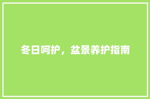 冬日呵护，盆景养护指南