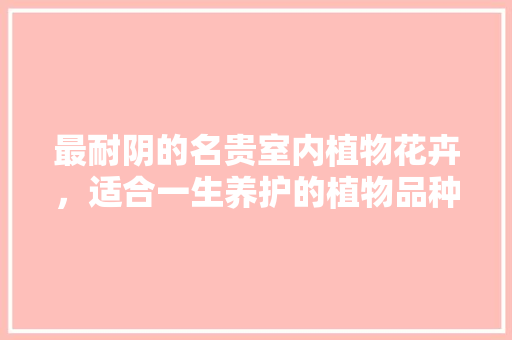 最耐阴的名贵室内植物花卉，适合一生养护的植物品种图片。