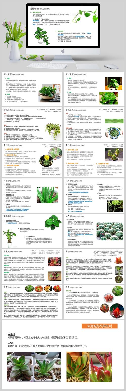 有季节变化的乔木，乔木类植物的四季养护方法。