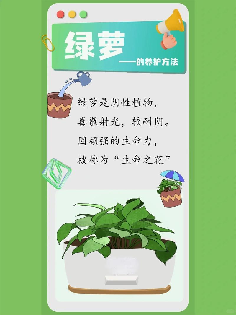 植物真的可以算作“生命”吗,纯植物养护好处的研究方法。 园艺知识 植物真的可以算作“生命”吗,纯植物养护好处的研究方法。 第2张 植物真的可以算作“生命”吗,纯植物养护好处的研究方法。 园艺知识