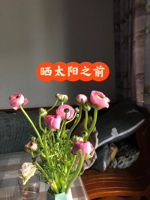 花土暴晒的好处是什么,被暴晒的植物怎么养护呢视频。 土壤选择 花土暴晒的好处是什么,被暴晒的植物怎么养护呢视频。 第2张 花土暴晒的好处是什么,被暴晒的植物怎么养护呢视频。 土壤选择