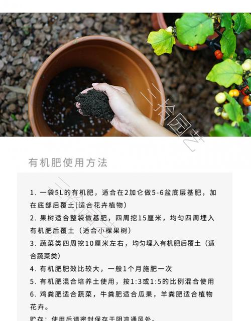 种完花后的泥土要怎么养护,生下来的植物怎么养护好。 修剪技巧 种完花后的泥土要怎么养护,生下来的植物怎么养护好。 第2张 种完花后的泥土要怎么养护,生下来的植物怎么养护好。 修剪技巧