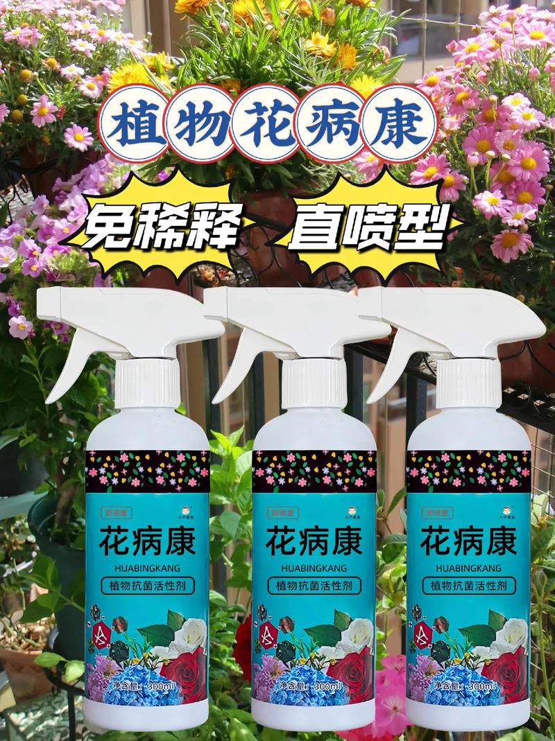 家里发霉潮湿怎么处理，吸霉的室内植物怎么养护好。