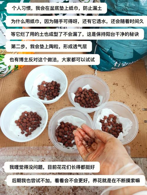 新塑料花盆换盆前需要怎么处理,兰科植物移盆后的养护方法。 土壤管理 新塑料花盆换盆前需要怎么处理,兰科植物移盆后的养护方法。 第2张 新塑料花盆换盆前需要怎么处理,兰科植物移盆后的养护方法。 土壤管理