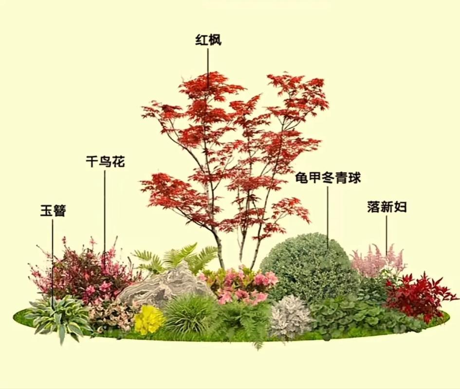 种哪些花易打理，不容易死，容易养护花境植物的花有哪些。