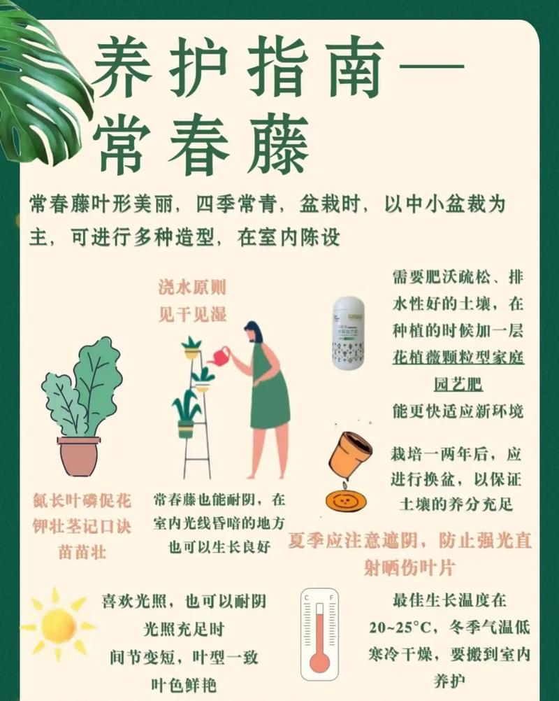 绿化养护的含义是什么，绿色植物养护活动的意义是什么。  第2张 绿化养护的含义是什么，绿色植物养护活动的意义是什么。 植物栽培