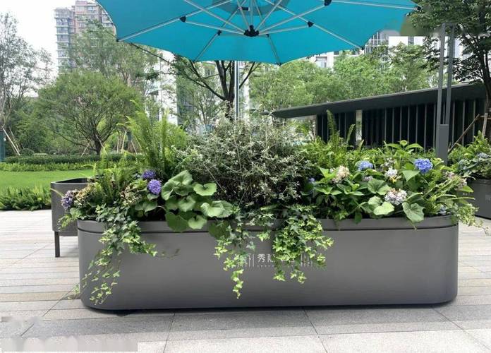 室外花箱种什么植物，室外花箱种什么植物知识，露天花箱植物怎么养护的呢。