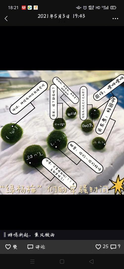 想养球藻，有什么注意事项吗，带水草球植物怎么养护的呢。