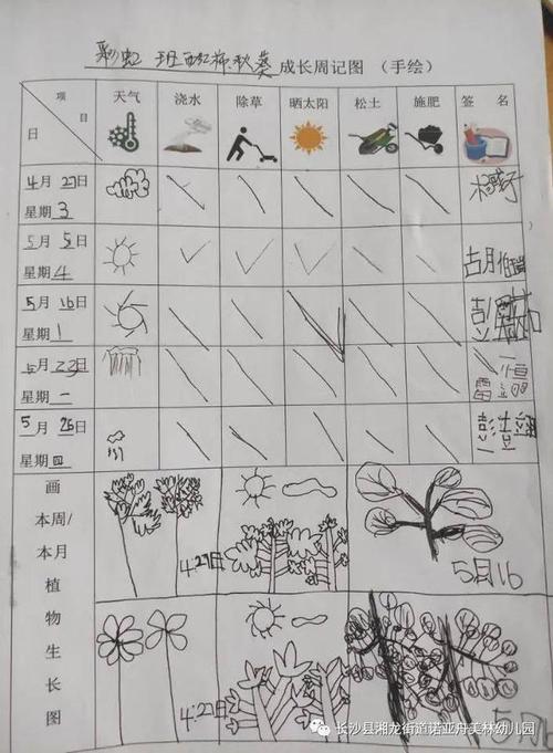 种植小表，越冬前该如何管理？需注意些什么，十二月植物调整。