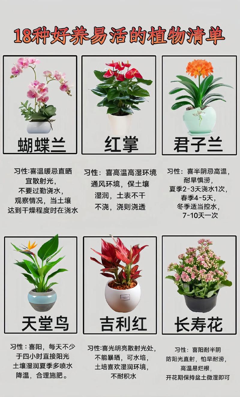植物怎么养，养护植物的小技巧是什么呢。  第2张 植物怎么养，养护植物的小技巧是什么呢。 灌溉技术