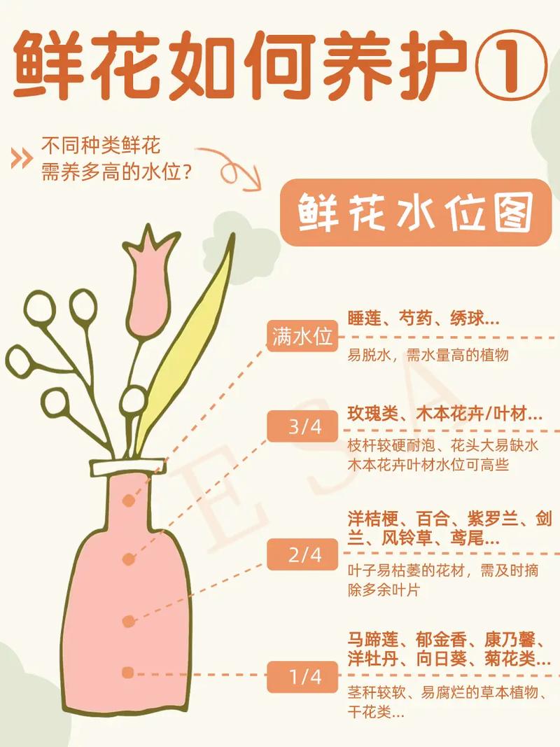 自己种的花草要怎么护理,有花的植物要怎么养护好呢。 植物分类 自己种的花草要怎么护理,有花的植物要怎么养护好呢。 第2张 自己种的花草要怎么护理,有花的植物要怎么养护好呢。 植物分类