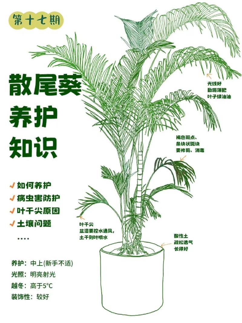 养护期是什么时候开始,植物的养护期是什么意思啊。 花卉 养护期是什么时候开始,植物的养护期是什么意思啊。 第2张 养护期是什么时候开始,植物的养护期是什么意思啊。 花卉