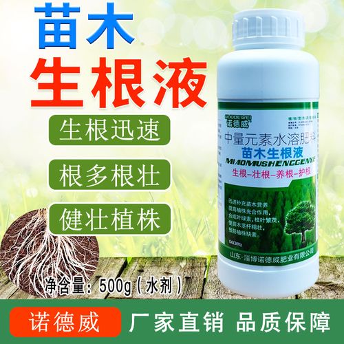 树苗种植一般是种植多深合适?是不是把根埋到就可以了。深了好像发芽不了。急急急，植物的根埋多深最好养护呢。